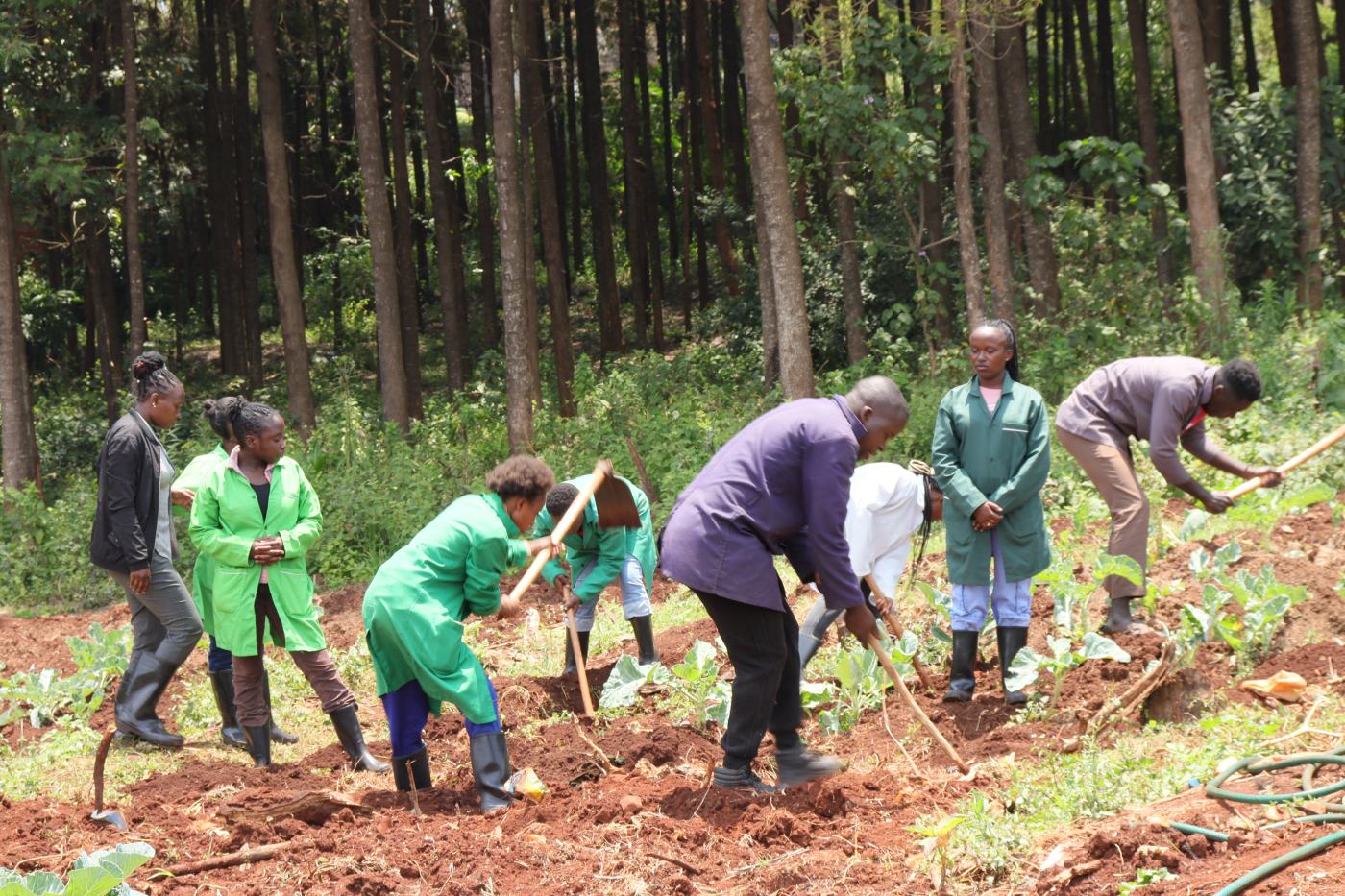 Kabete National Polytechnic